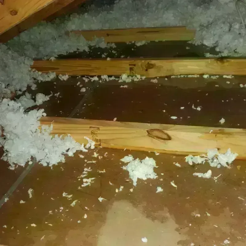 Attic Water Damage in Ringgold, GA